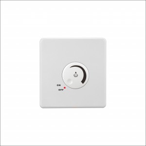 Light dimmer switch 1000w