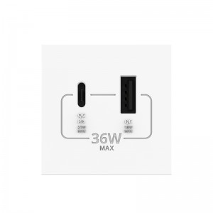 36w usb type A+type C