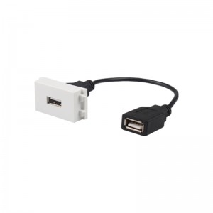 2.1A USB Charger with cable