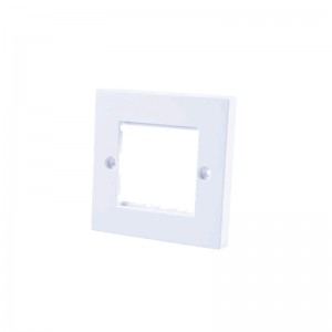 Dual Ports 86*86mm Cutout 50*50mm Flat Type Faceplate