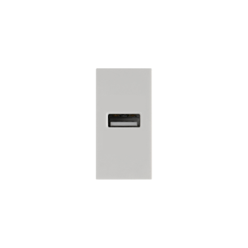 Single Port USB Charging 2.1A PC Plastic 45*22.5mm Socket Featured Image