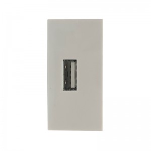 22.5*45mm 2.0 a Data USB Socket / Wall Socket