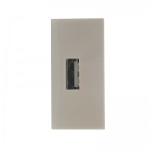 Special Design for Double Sliding Floor Socket - F59B – Safewire Electric