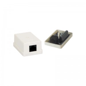 Unshielded Single Port Dual IDC Surface Mount Box/Junction Box