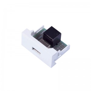 45*22.5mm 180 Degree RJ45 to USB 2.0A Modules