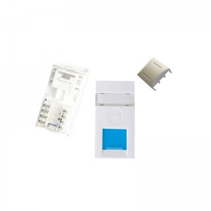 25*50mm Unshielded Cat5e CAT6 Dual IDC RJ45 Module