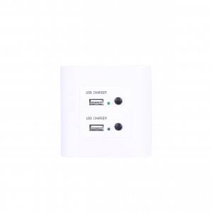 Good Quality Usb Wall Outlet Sockets - XJY-USB-12B-C – Safewire Electric