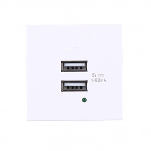 Hot Sale for Media Wall Socket - XJY-USB-17E – Safewire Electric