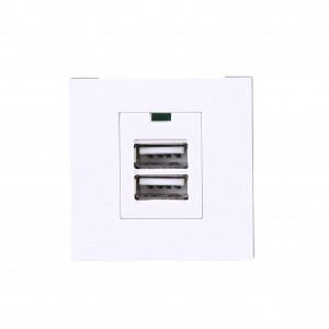 Personlized Products Two Gang Floor Socket - XJY-USB-26-A-A – Safewire Electric