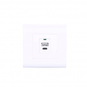 Factory Supply Earthed Socket - XJY-USB-26-C-A-C – Safewire Electric