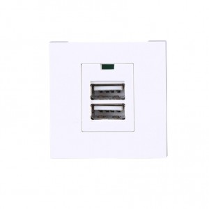 Popular Design for 3 Pins Snap-In Mount Male Plug Socket - XJY-USB-27-A-A – Safewire Electric