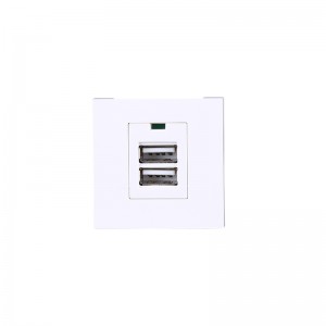 Wholesale Price China Damped Socket - XJY-USB-27-A-A – Safewire Electric