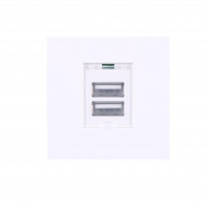 Good quality Sockets Box - XJY-USB-27B-A-A – Safewire Electric
