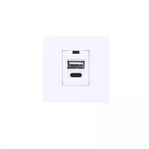 USB charger 5V 2.1A type A+type C/USB Charger